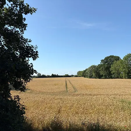 Schoene 4-zi -fewo Nahe Ostsee Mit Tollem Garten Apartment